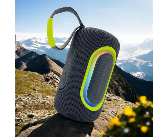 Bluetooth колонка Hopestar P69 20W Gray