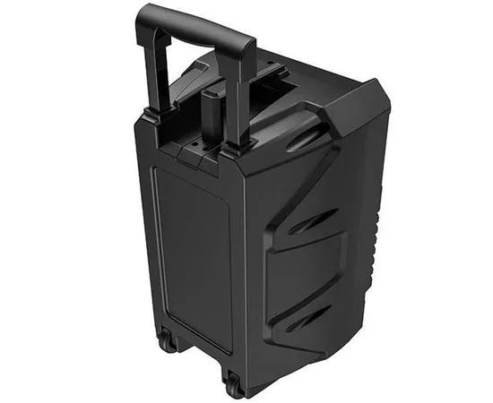 Bluetooth колонка Hoco DS06 с микрофоном Черный