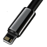 Дата кабель Baseus Tungsten Gold USB to Lightning Cable 2.4A (2m) (CALWJ-A0) Black