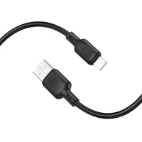 Дата кабель Borofone BX113 Lenny USB to Lightning 2.4A (3m) Black