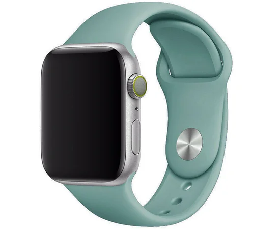 Силиконовый ремешок для Apple watch 38mm / 40mm Зеленый /Light cactus