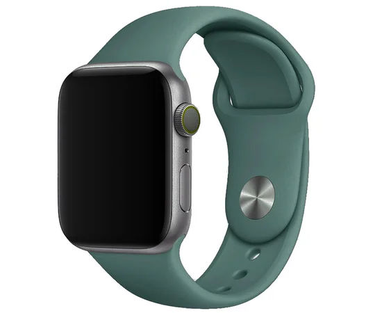 Силіконовий ремінець для Apple watch 38mm / 40mm Зелений / Pine green