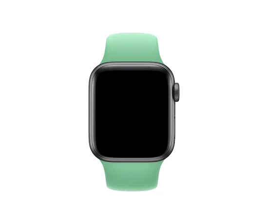 Силиконовый ремешок для Apple watch 42mm / 44mm Зеленый / Spearmint