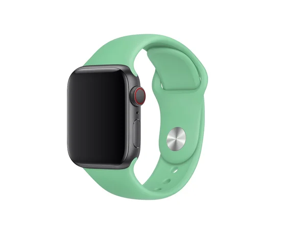 Силиконовый ремешок для Apple watch 42mm / 44mm Зеленый / Spearmint