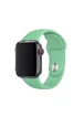 Силиконовый ремешок для Apple watch 42mm / 44mm Зеленый / Spearmint