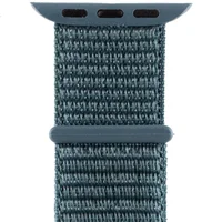 Ремешок Nylon для Apple watch 38mm/40mm Зеленый / Pine green