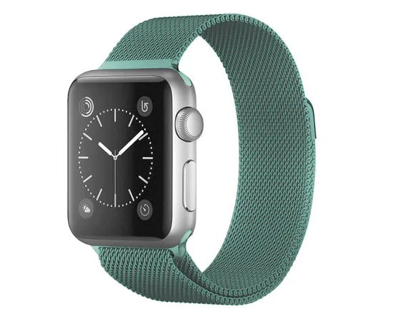 Ремінець Milanese Loop Design для Apple watch 42mm / 44mm Pine green