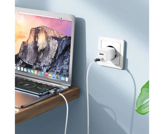 Дата кабель Borofone BX83 Famous PD60W Type-C to Type-C White