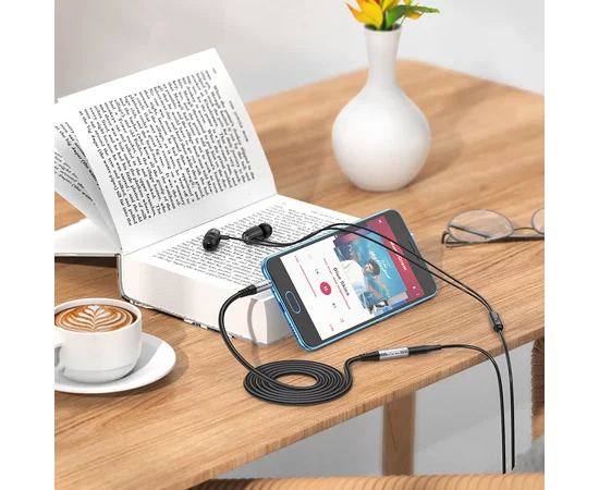 Аудио кабель Aux Hoco UPA20 (1m) Metal gray