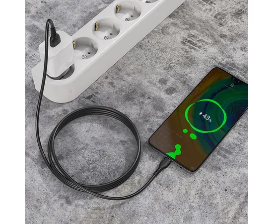 Дата кабель Borofone BX51 Triumph USB to Type-C (1m) Черный