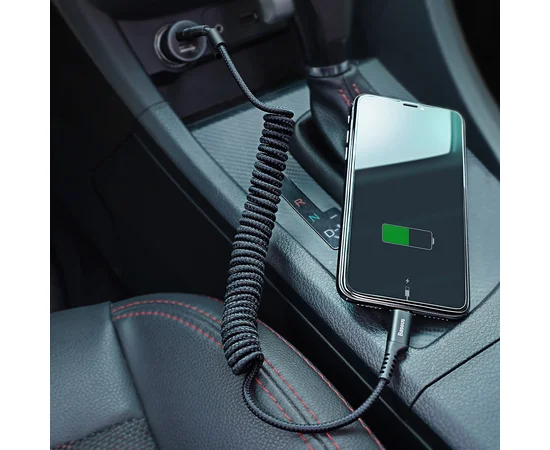 Дата кабель Baseus Fish Eye Spring Data Lightning Cable 2A (1m) Черный