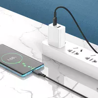 Дата кабель Borofone BX70 Type-C to Type-C 60W (1m) Черный