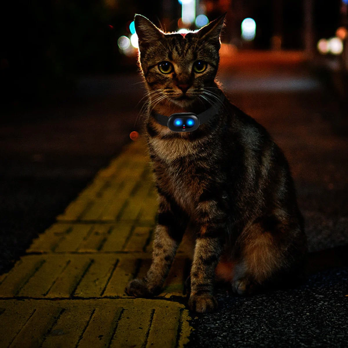 Трекер GPS для животных V41 Pet Tracker SIM (4GLTE+3GWCDMA+2GGSM) 1300mAh Black