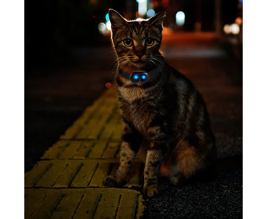 Трекер GPS для животных V41 Pet Tracker SIM (4GLTE+3GWCDMA+2GGSM) 1300mAh Black