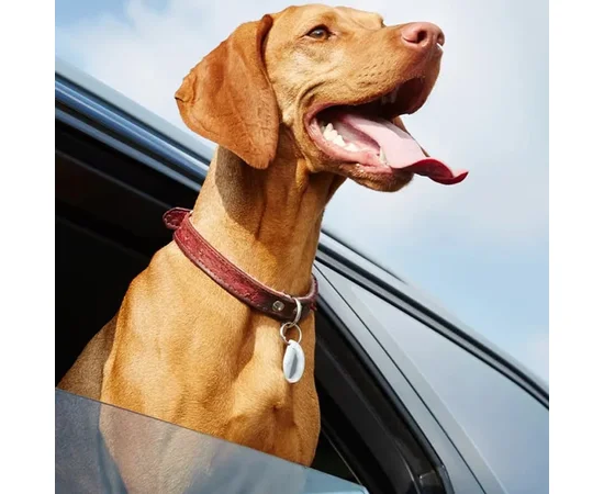 Трекер Hoco DI29 Plus portable anti-lost tracker White