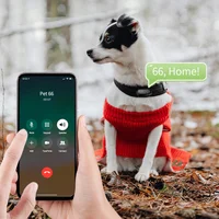 Трекер GPS для животных V53 Pet Tracker SIM (4GLTE) 900mAh Black