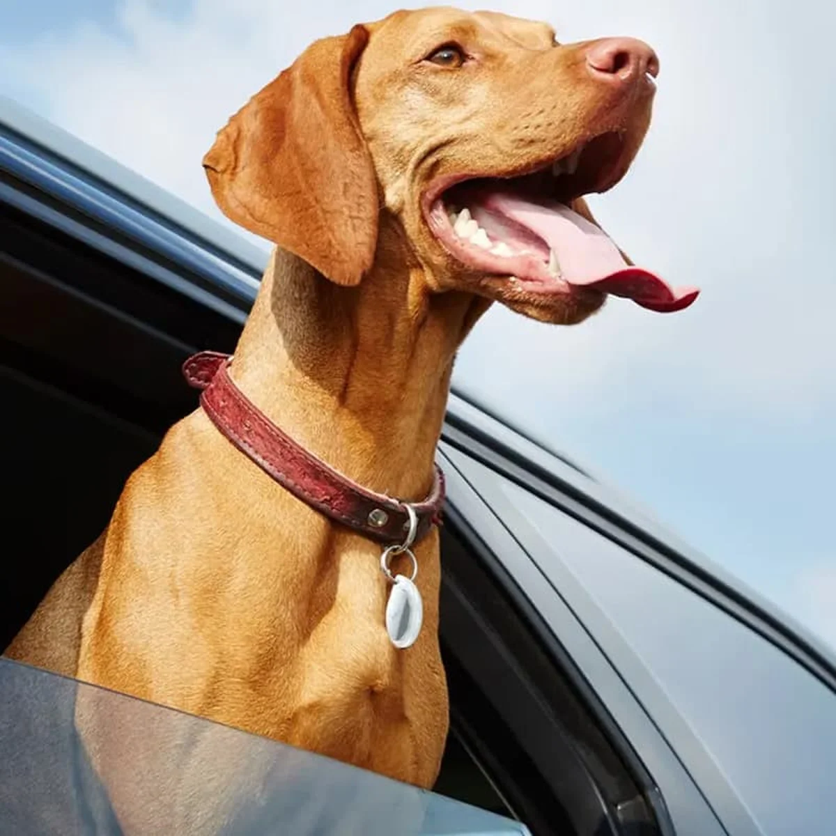 Трекер Hoco DI29 Plus portable anti-lost tracker White