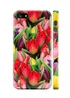 Чехол "iDAY" пластиковый для iPhone 5/5S/SE Тюльпаны