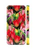 Чохол "iDAY" пластиковий для iPhone 5 / 5S / SE Тюльпани
