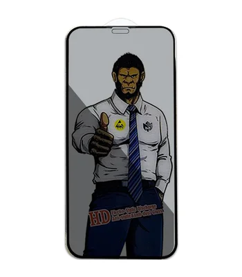 Захисне скло Privacy 5D Anti-Static (тех.пак) для Apple iPhone 12 Pro Max (6.7") Чорний