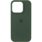 Чехол Silicone Case (AA) Logo with MagSafe для Apple iPhone 11 Pro Max (6.5") Зеленый / Cyprus Green