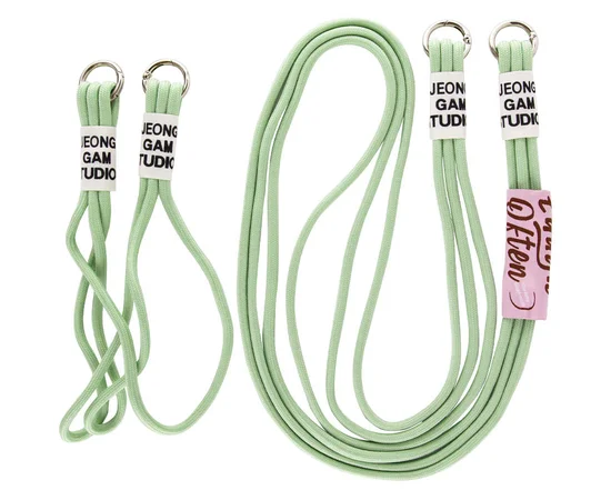 Чохол TPU two straps California для Apple iPhone 11 Pro (5.8") Зелений / Pistachio