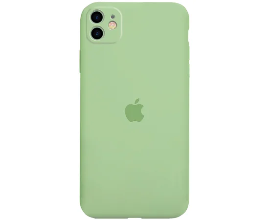 Чехол Silicone Case Full Protective для Apple iPhone 11 (6.1") Зеленый / Spearmint