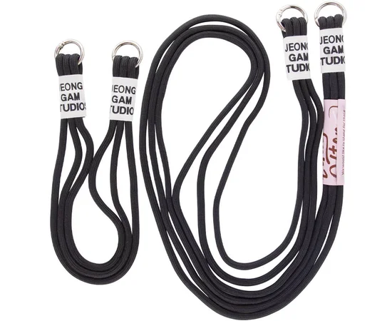 Чехол TPU two straps California для Apple iPhone 11 (6.1") Черный