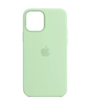 Чехол Silicone Case Full Protective (AA) для Apple iPhone 11 (6.1") Зеленый / Pistachio