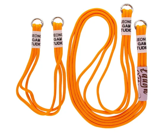 Чохол TPU two straps California для Apple iPhone 11 (6.1") Помаранчевий