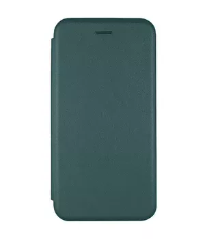 Кожаный чехол-книжка Classy для Apple iPhone 11 (6.1") Зеленый