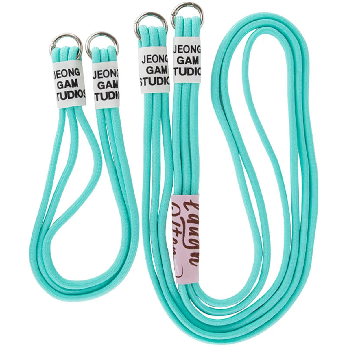 Чохол TPU two straps California для Apple iPhone 11 (6.1") Бірюзовий / Marine Green