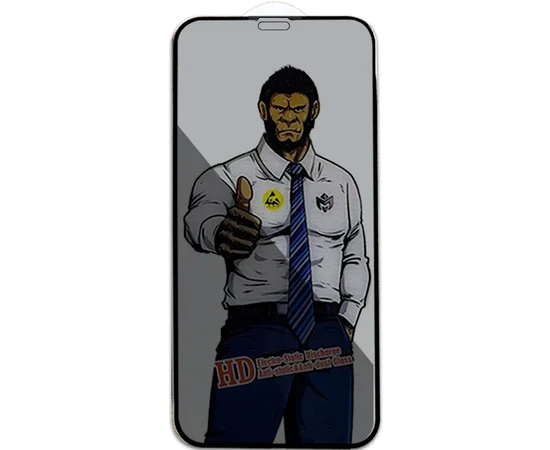 Захисне скло Privacy 5D Anti-Static (тех.пак) для Apple iPhone 11/XR (6.1") Чорний