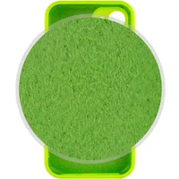 Чехол Silicone Case Full Camera Protective (AA) для Apple iPhone 12 mini (5.4") Салатовый / Neon green