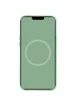 Чехол Silicone case (AAA) full with Magsafe and Animation для Apple iPhone 12 Pro Max (6.7") Зеленый / Pistachio