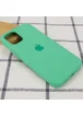 Чехол Silicone Case Full Protective (AA) для Apple iPhone 12 Pro Max (6.7") Зеленый / Spearmint