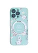 TPU+PC чехол Secret Garden with MagSafe для Apple iPhone 12 Pro Max (6.7") Mint