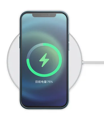 Шкіряний чохол Leather Case (AAA) with MagSafe для Apple iPhone 12 Pro Max (6.7 ") Baltic Blue