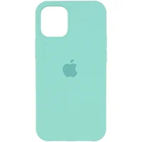 Чехол Silicone Case Full Protective (AA) для Apple iPhone 12 Pro Max (6.7") Бирюзовый / Ice Blue