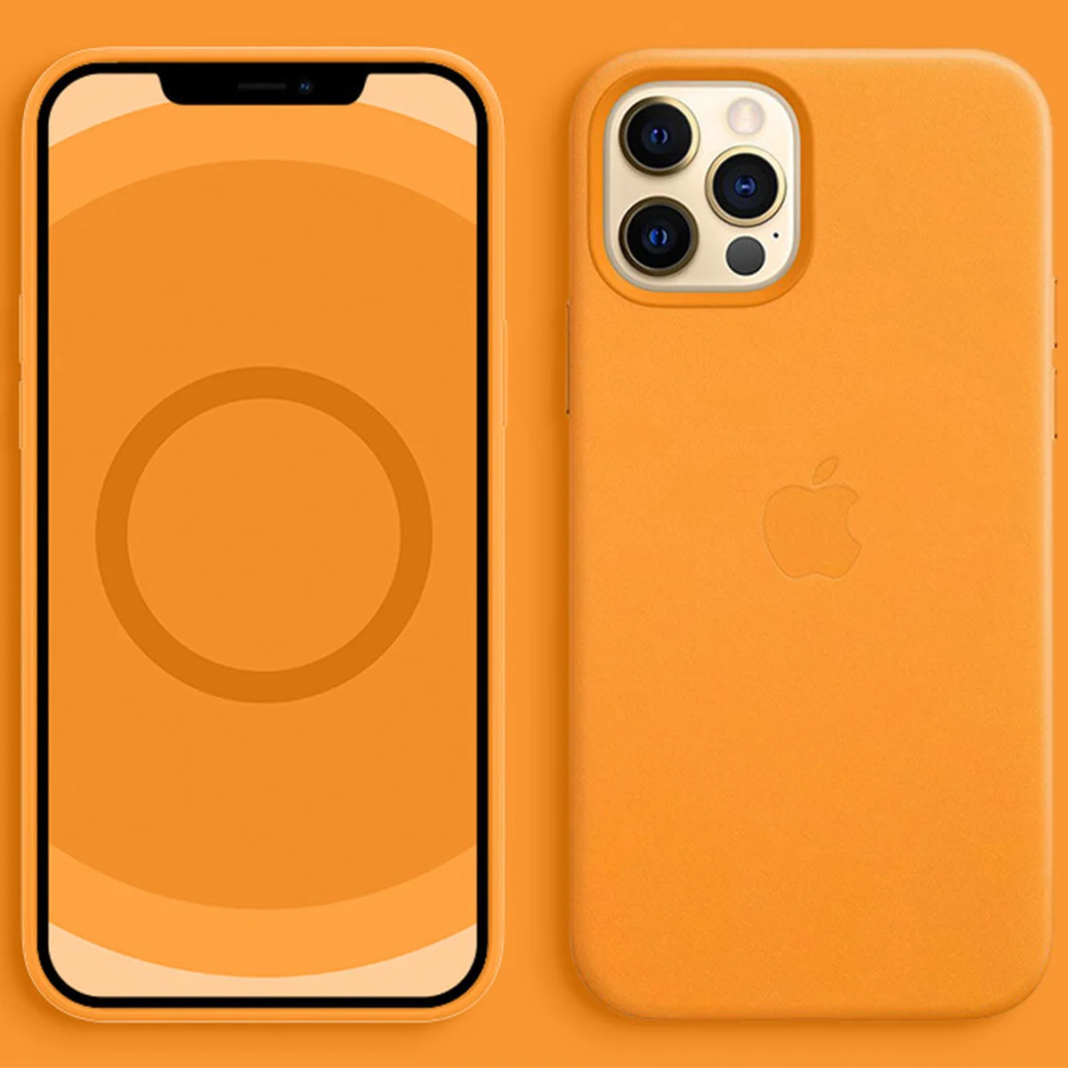 Шкіряний чохол Leather Case (AAA) з MagSafe and Animation для Apple iPhone 12 Pro Max (6.7") California Poppy