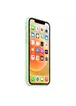 Чохол Silicone Case Full Protective (AA) для Apple iPhone 12 Pro Max (6.7 ") Зелений / Pistachio