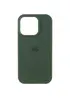 Чехол Silicone Case (AA) Logo with MagSafe для Apple iPhone 12 Pro Max (6.7") Зеленый / Cyprus Green