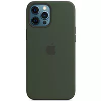 Чехол Silicone case (AAA) full with Magsafe and Animation для Apple iPhone 12 Pro Max (6.7") Зеленый / Cyprus Green