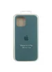 Чехол Silicone Case Full Protective (AA) для Apple iPhone 12 Pro / 12 (6.1") Зеленый / Light cactus