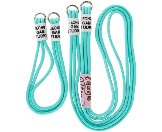 Чехол TPU two straps California для Apple iPhone 12 Pro / 12 (6.1") Бирюзовый / Marine Green