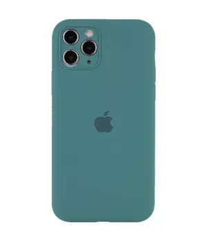Чохол Silicone Case Full Camera Protective (AA) для Apple iPhone 12 Pro (6.1 ") Зелений / Pine green