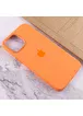 Чохол Silicone case (AAA) full with Magsafe and Animation для Apple iPhone 12 Pro / 12 (6.1 ") Помаранчевий / Kumquat