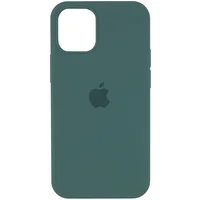 Чехол Silicone Case Full Protective (AA) для Apple iPhone 13 Pro Max (6.7") Зеленый / Light cactus
