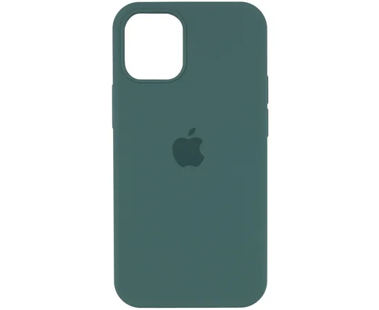 Чехол Silicone Case Full Protective (AA) для Apple iPhone 13 Pro Max (6.7") Зеленый / Light cactus