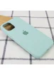Чехол Silicone Case Full Protective (AA) для Apple iPhone 13 Pro Max (6.7") Бирюзовый / Beryl